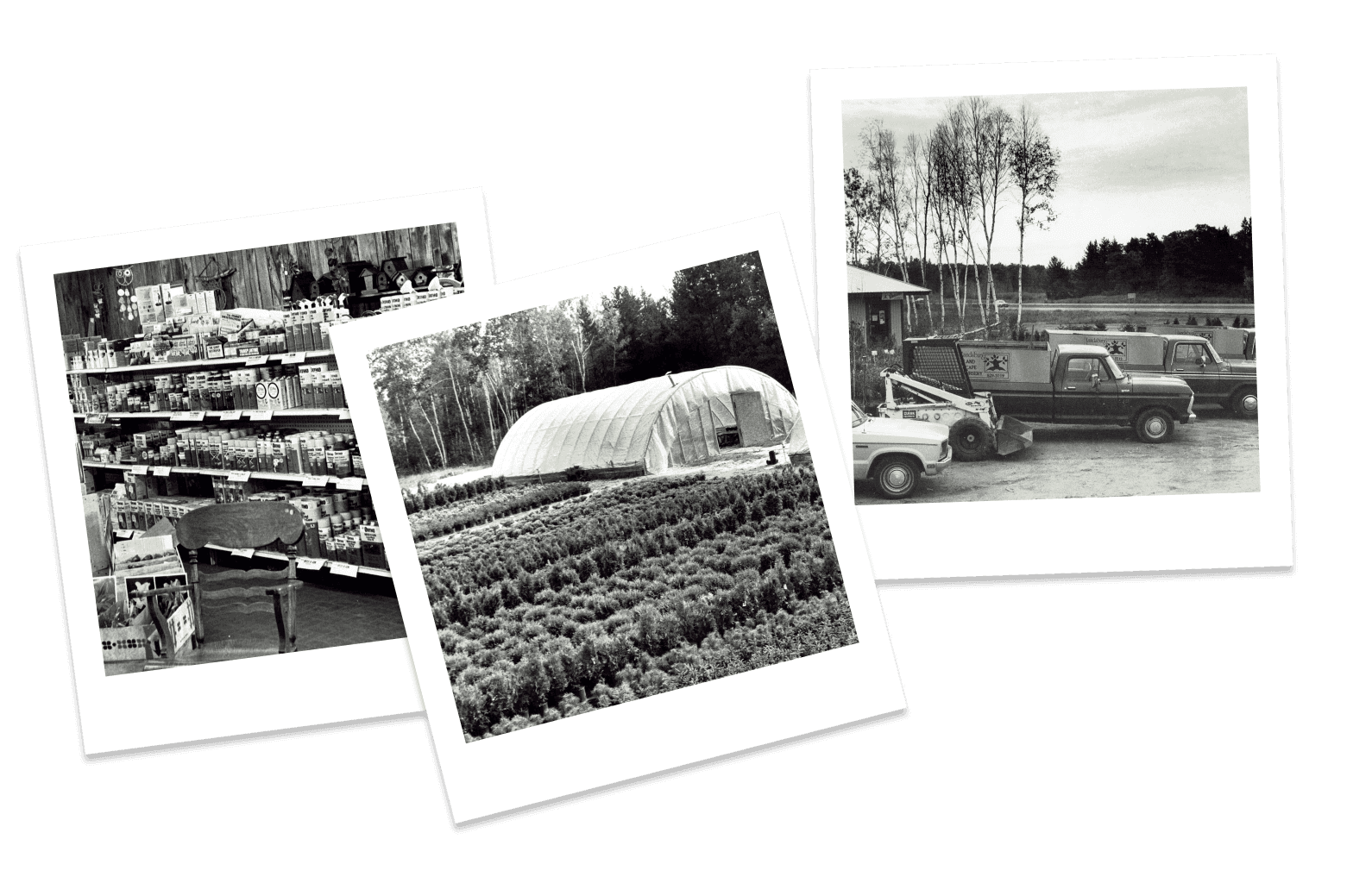 Three Polaroid style photos of Landsburg Landscape nursery.